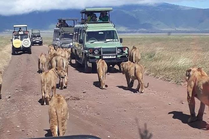 4 days Tanzania safari Tour to Tarangire ,Lake Manyara,Ngorongoro Crater and Materuni